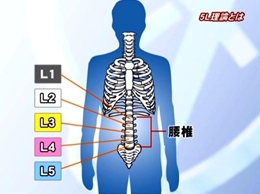 第1巻　5L理論・バッティング編