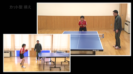 第3巻 戦型 「カット型」コーチング