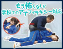 フィジカルアセスメントシリーズ もう怖くない!学校でのアナフィラキシー対応(ファイルはダミー)