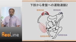 第1巻　腰痛・骨盤痛1