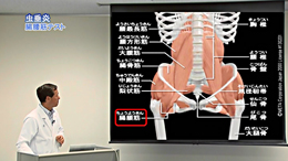 北垣毅の養護教諭フィジカルアセスメントシリーズ内科編3:保健室における腹痛診察の注意点(症状各論編)(ファイルはダミー)