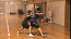 【第2巻】 小さくても戦う意識を高めるディフェンス&1on1
