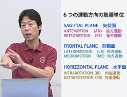 第1巻　Muscle Pain Reliefの基礎理論