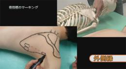 第1巻 肩甲帯の触察