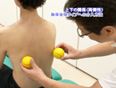 第1巻　胸郭運動の特徴