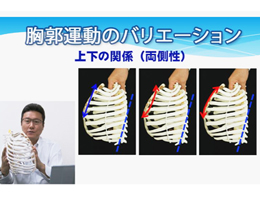 第1巻　胸郭運動の特徴
