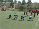 クリーンアウトTOフェイズ